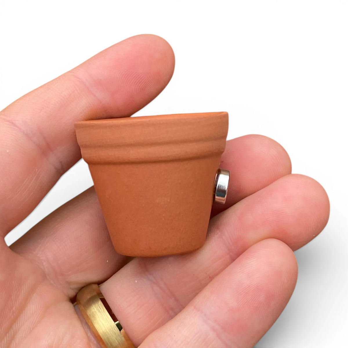 Air Plant Magnet - Mini Terracotta Pot