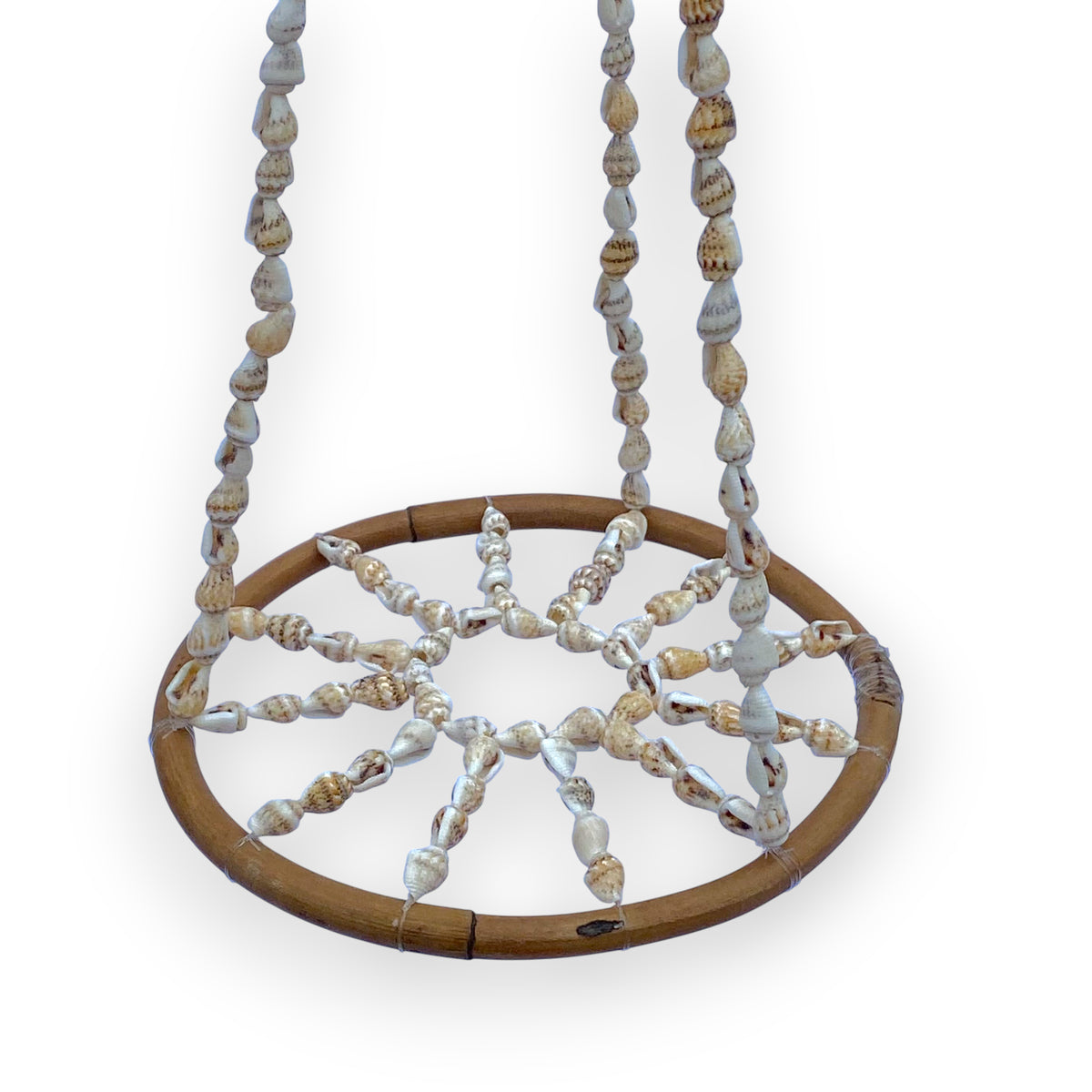 Decorative air plant display with shells and wooden frame on a white background